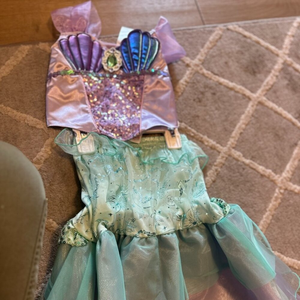 The Little Mermaid Costume